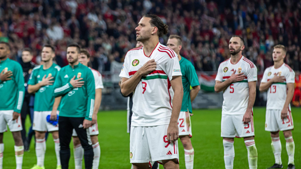 Ku Cựu cầu thủ Schalke Szalai kết thúc sự nghiệp